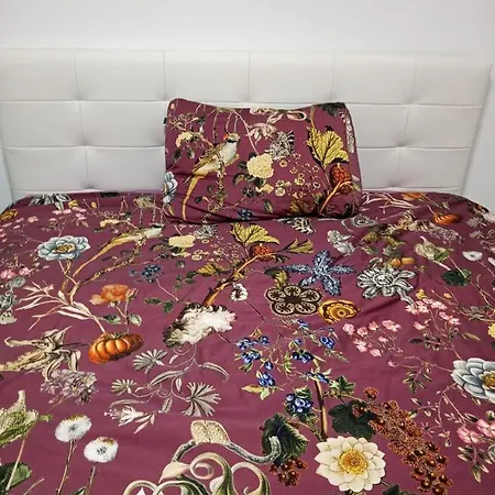 Apartma D Apartment Liznjan